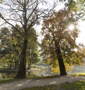 Valeriusstraat 126-h